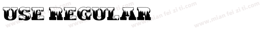Use Regular字体转换